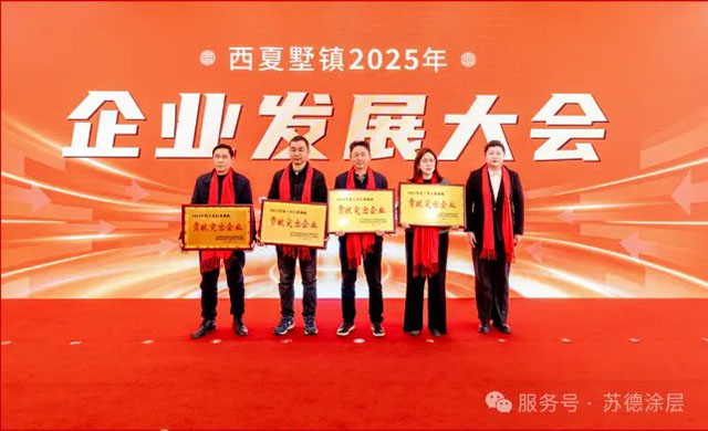 熱烈祝賀我司榮獲2024年度多項(xiàng)表彰